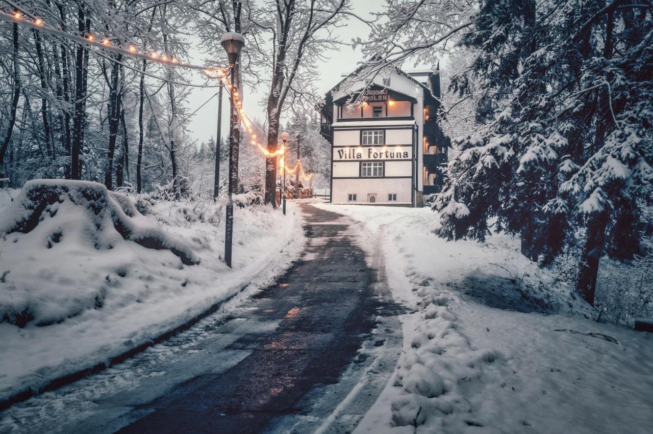 Villa Fortuna Душники-Здруй Экстерьер фото